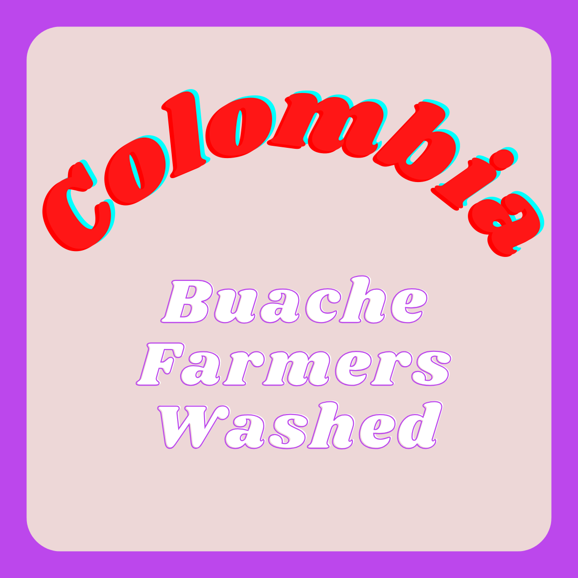 Colombia Buache Farmers