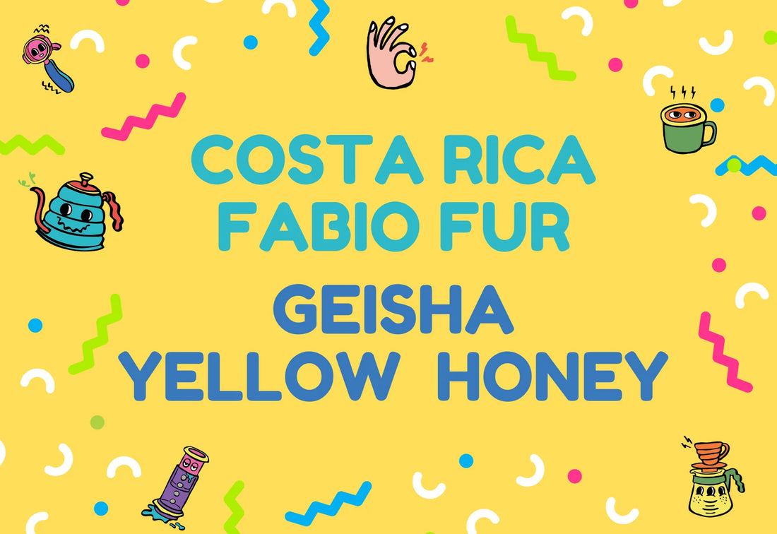 Costa Rica Fabio Fur Geisha