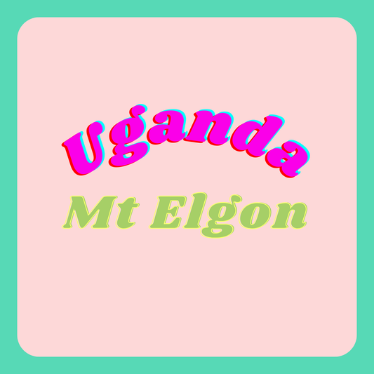 Uganda Mt Elgon Grade A